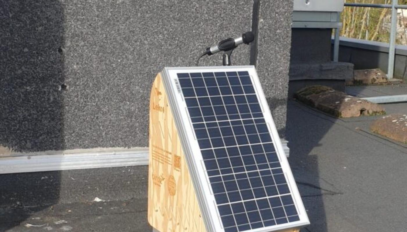 capteur bus chauves-souris