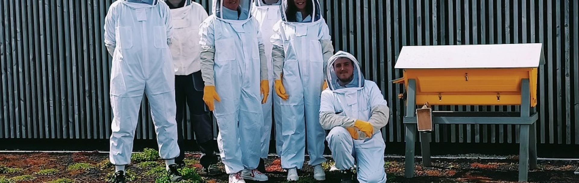 Eco-pâturage et ruches participatives chez Tadao