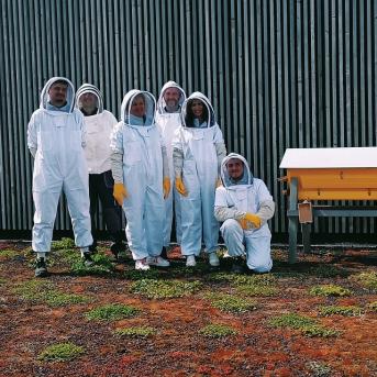 Eco-pâturage et ruches participatives chez Tadao