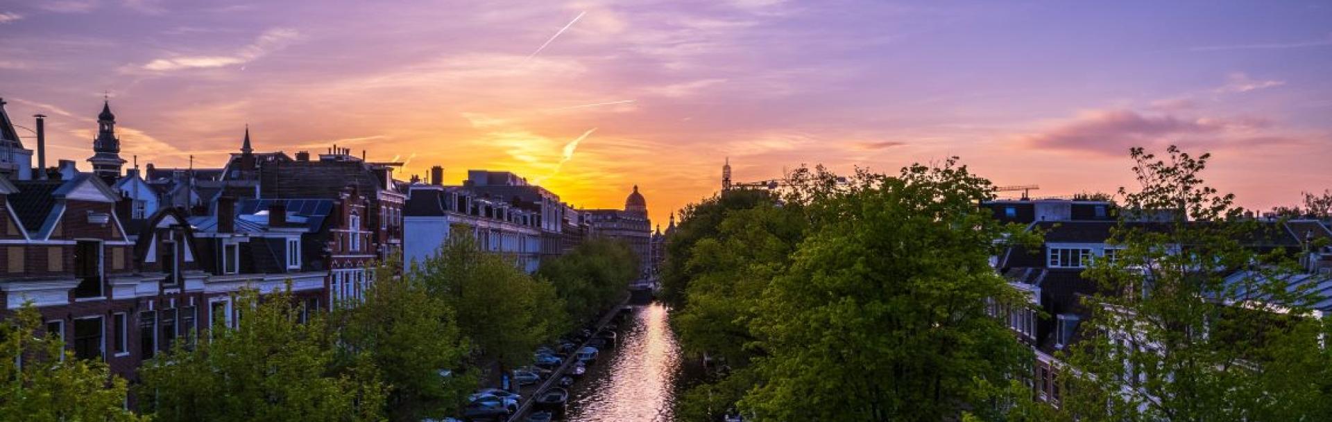 A river and trees in a cityscape
