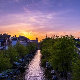 A river and trees in a cityscape