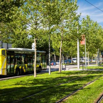Bus et tramway à Grenoble
