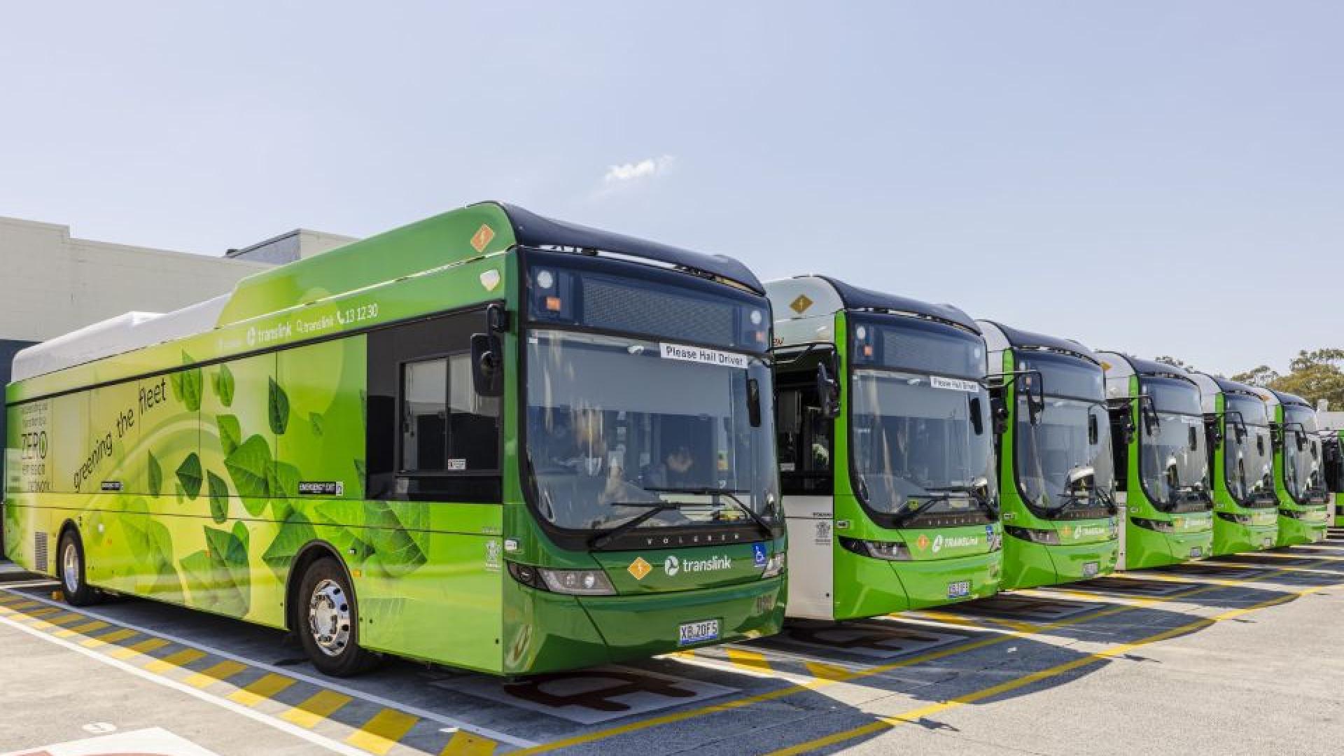 Buses in Queensland, Australia