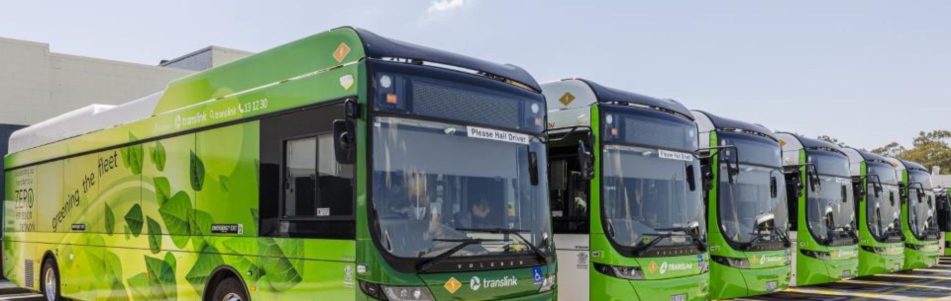 Buses in Queensland, Australia
