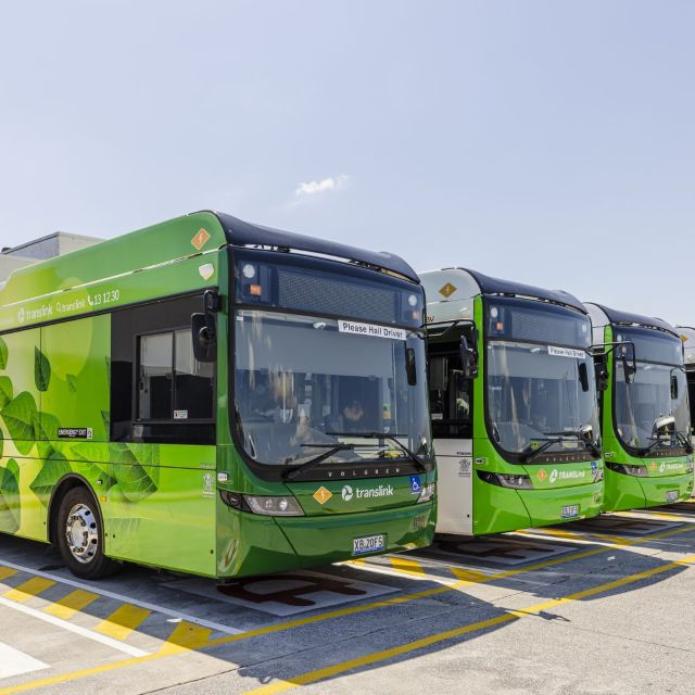 Buses in Queensland, Australia