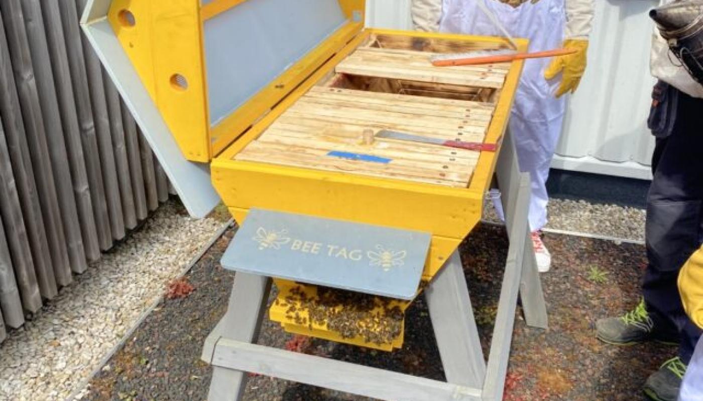 Ruche et femme en costume d'apicultrice