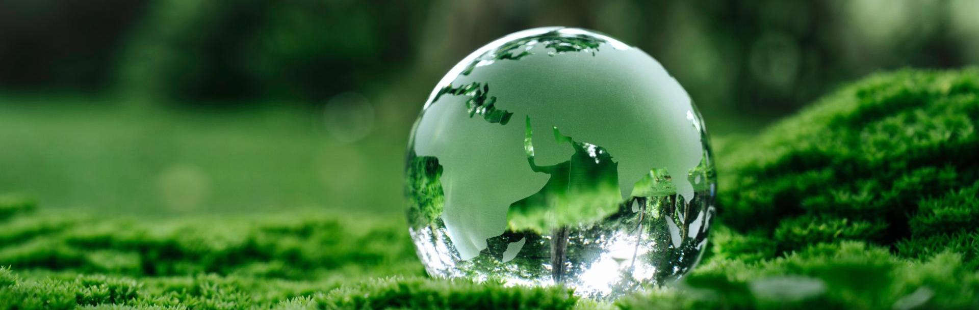 un monde plus vert et plus durable