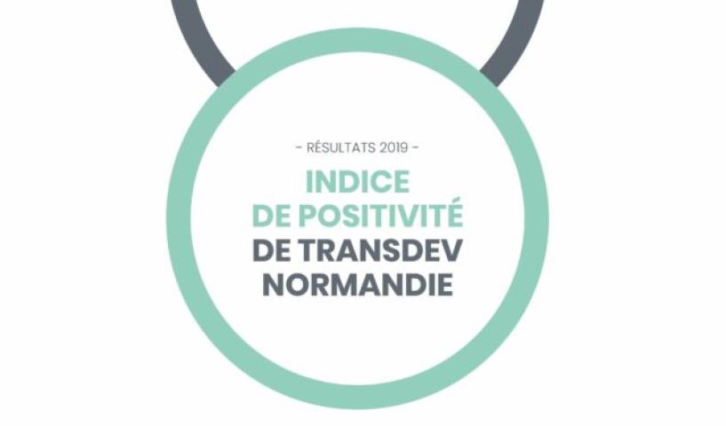 Transdev Normandy's positivity index