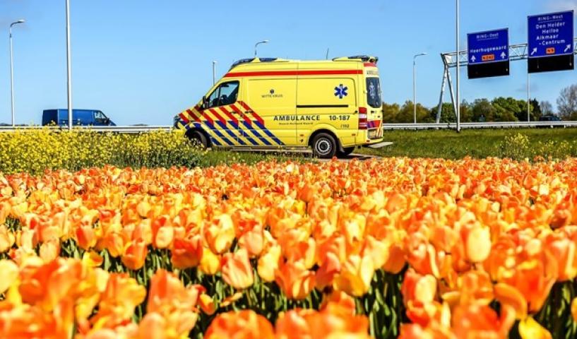 Agir pour la préservation et la protection des écosystèmes