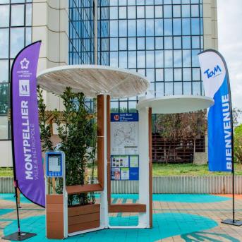 Prototype arrêt Biomimetisme Cactus Pineus - Photographe : Christophe Catalan