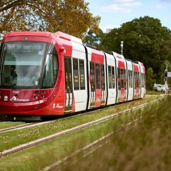 Red and white tramway in Parramatta - Australia