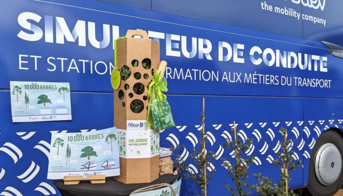 Certificats de plantation d'arbres Forêts Aléop