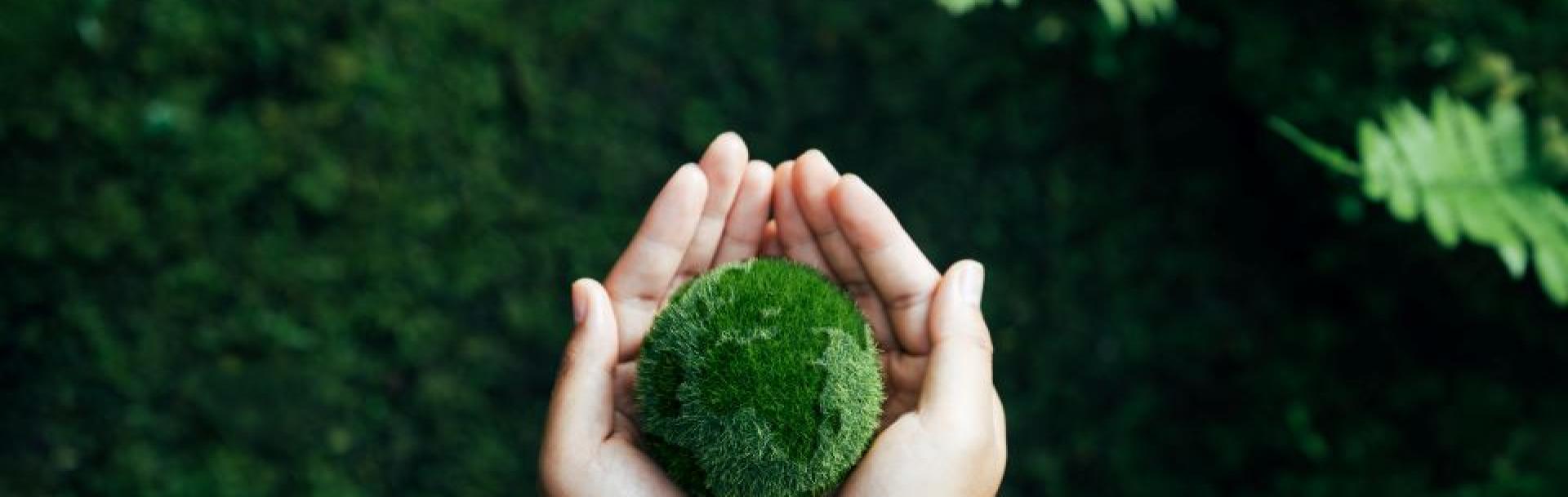 The Mobility Sphere Glore terreste en mousse au creux de deux mains