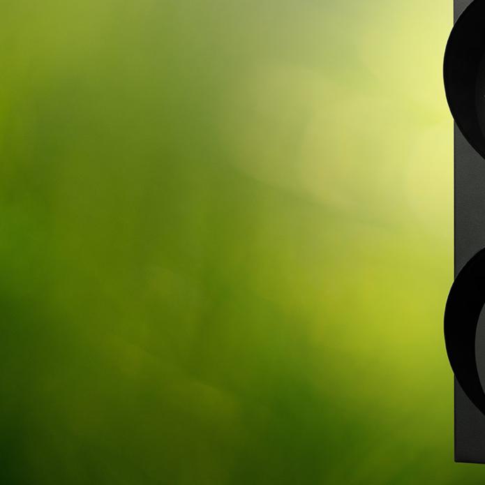 Feuille verte dans un feu tricolore