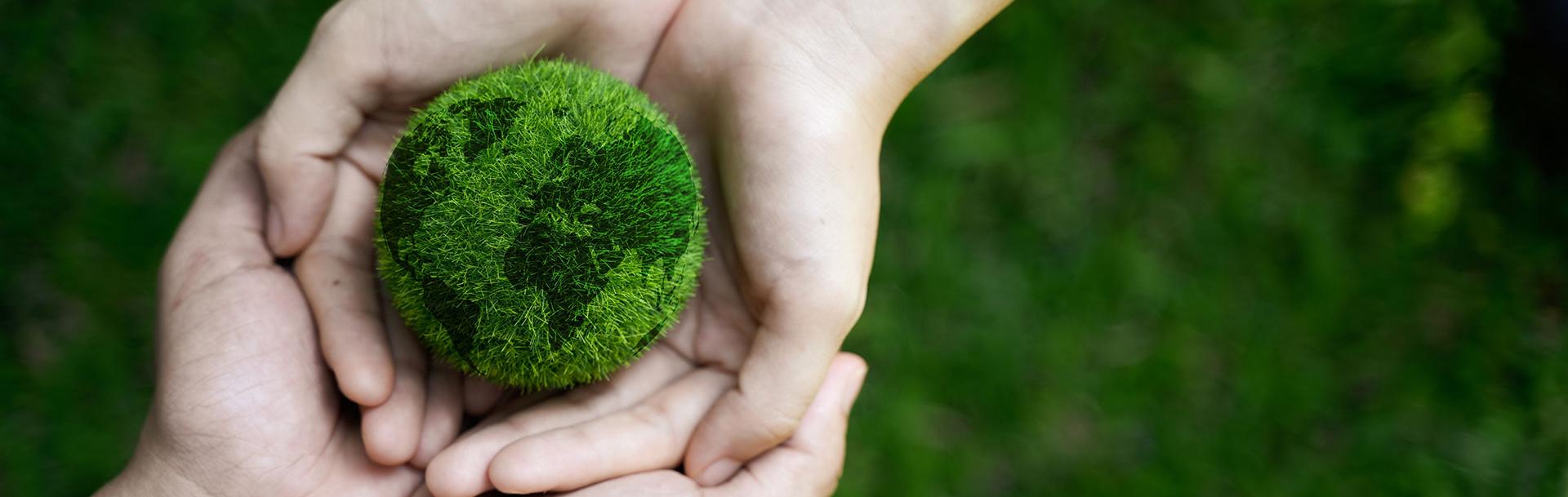 Hands holding a grass ball