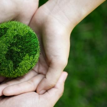 Hands holding a grass ball