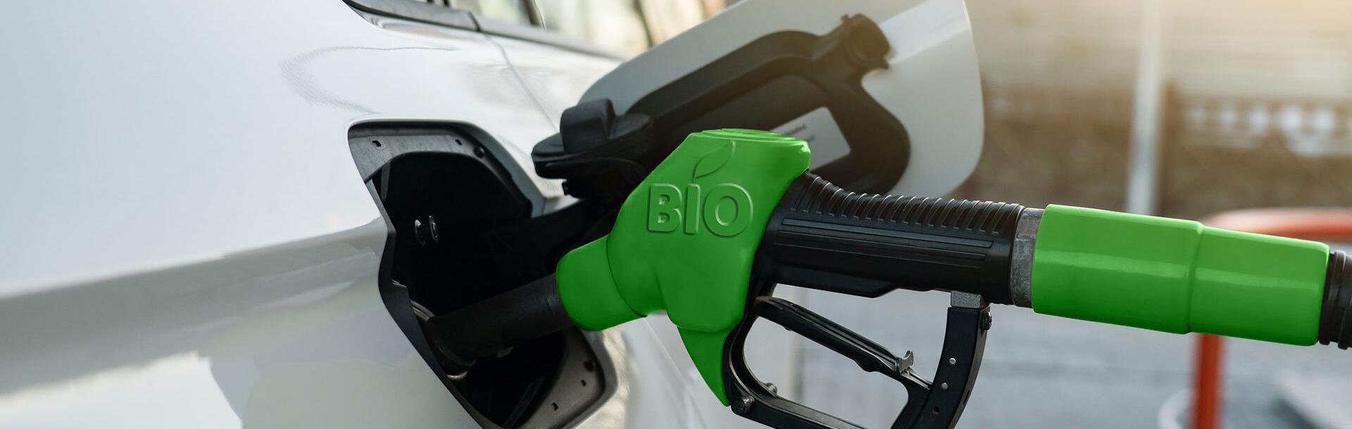 visuel transition écologique