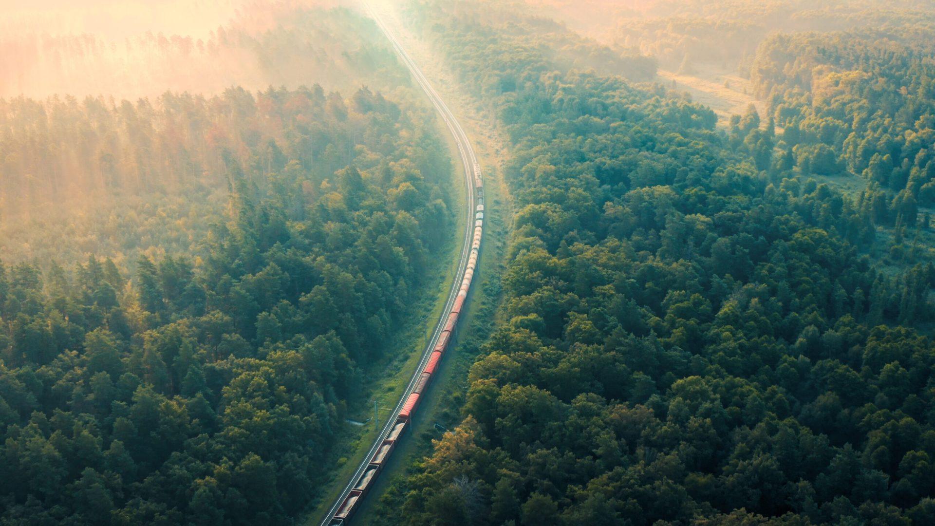 Train qui roule au milieu d'une forêt