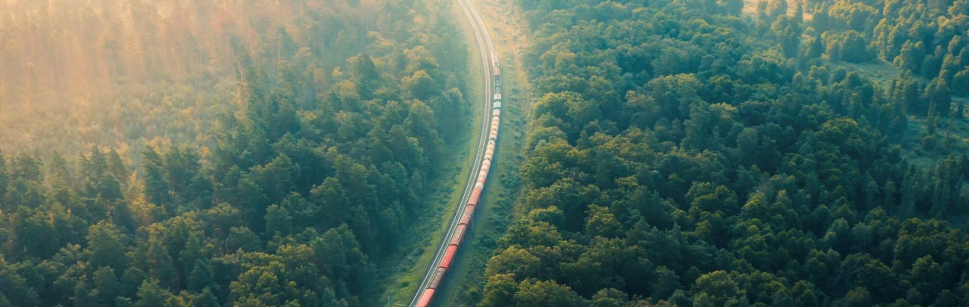 Train qui roule au milieu d'une forêt