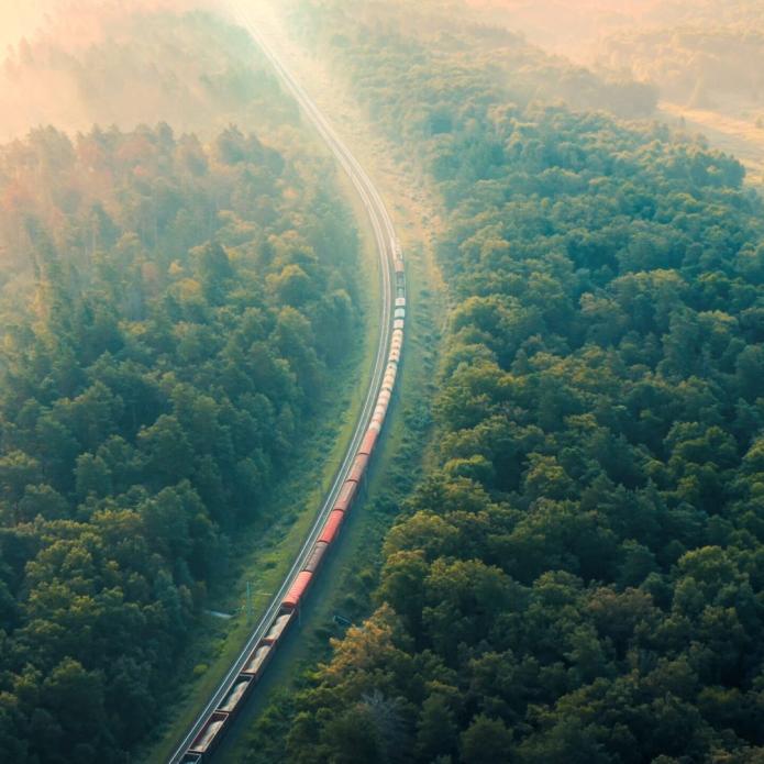 Train qui roule au milieu d'une forêt