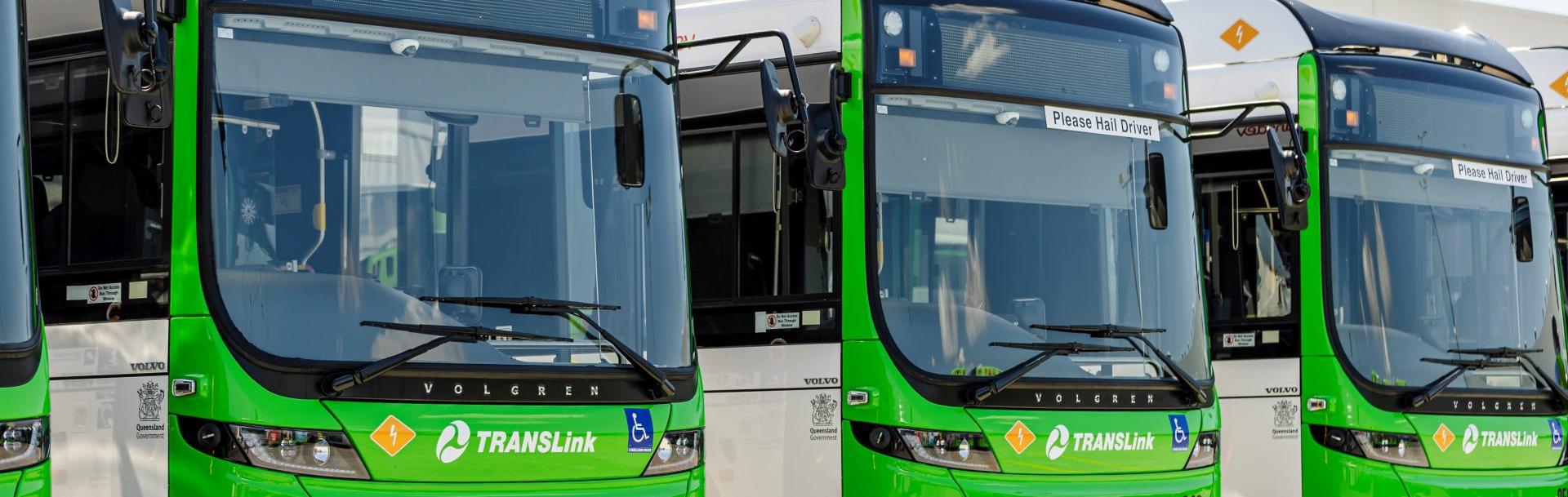 Translink green electric buses in Brisbane