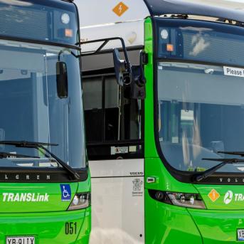 Translink green electric buses in Brisbane