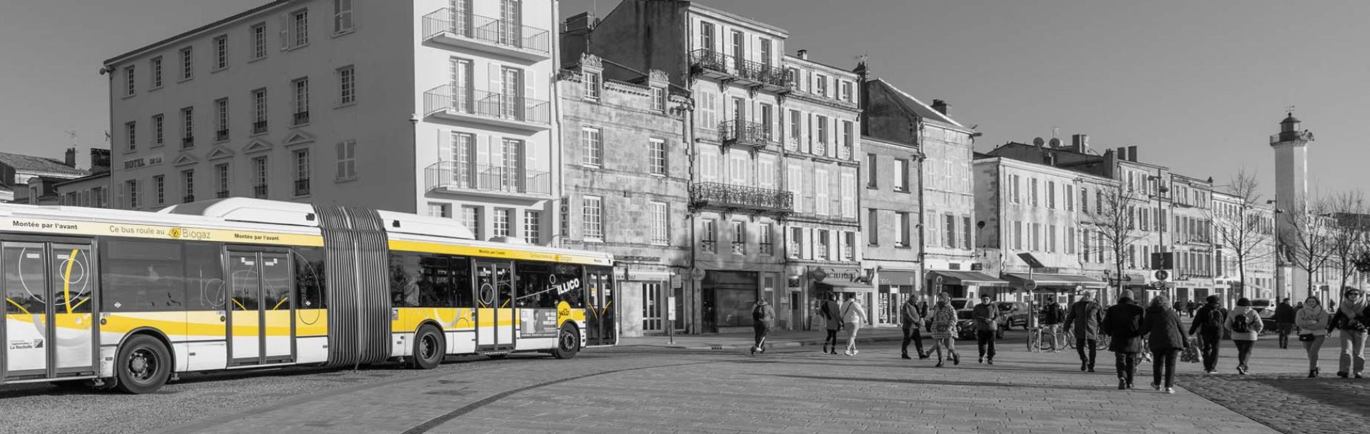 Bus du nouveau réseau Yélo Mobilités La Rochelle