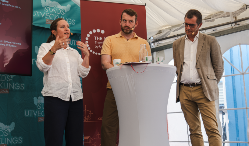 Linda Kummel The Mobility Sphere Suède