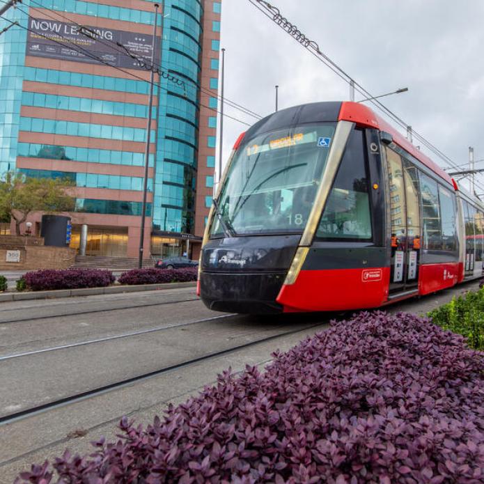 Tramway Australie Sydney