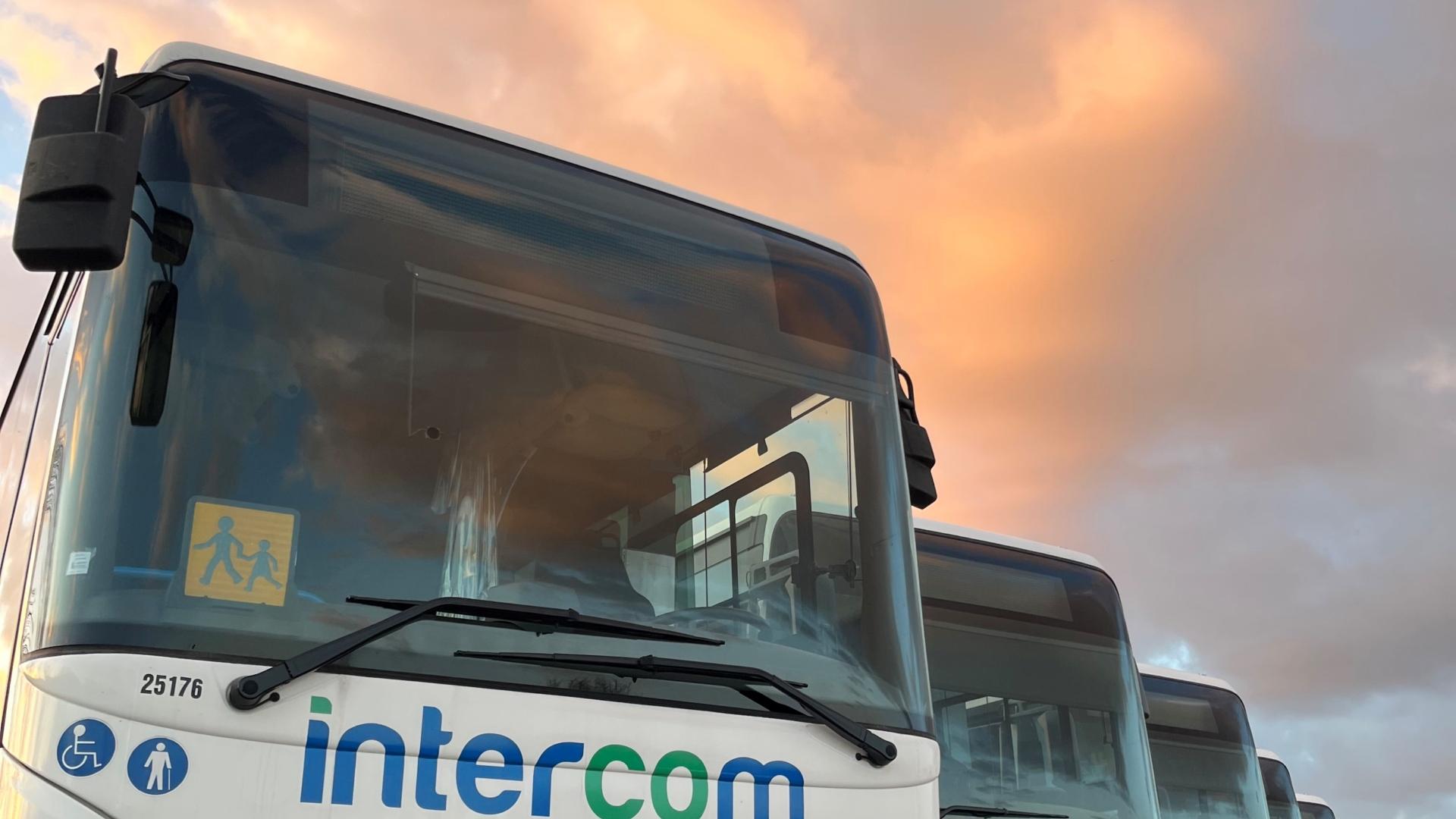 bus-intercom-vus-den-bas