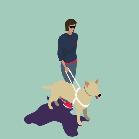 Diversité équité et inclusion Transdev