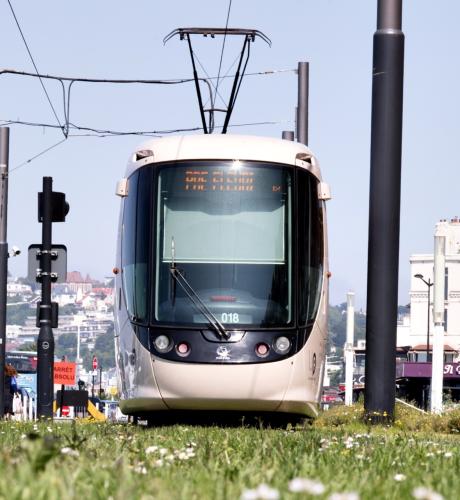 France - Normandie - Le Havre - Tramway