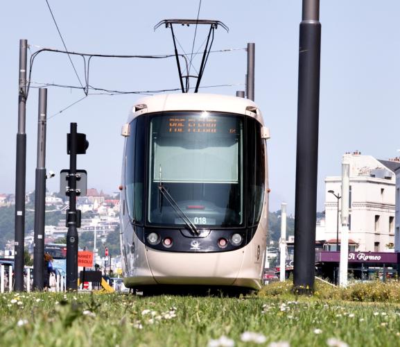 France - Normandie - Le Havre - Tramway