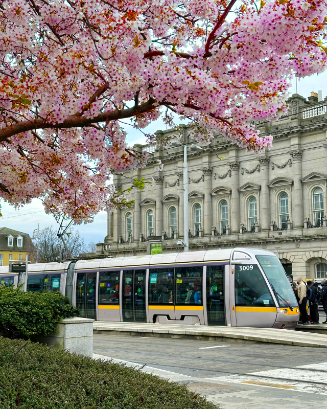 luas-tram-dublin-1