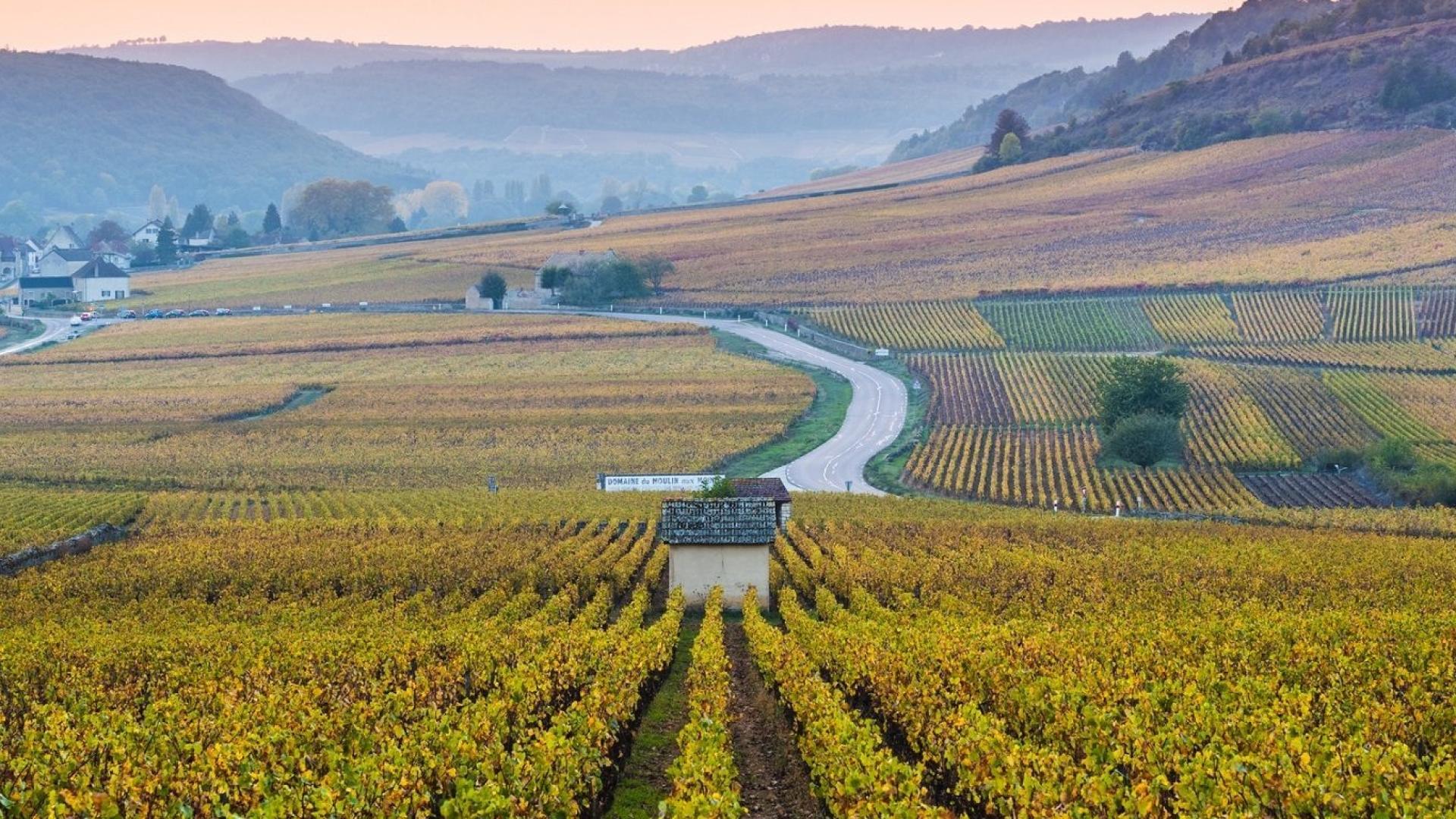 Paysage Bourgogne Franche-Comté