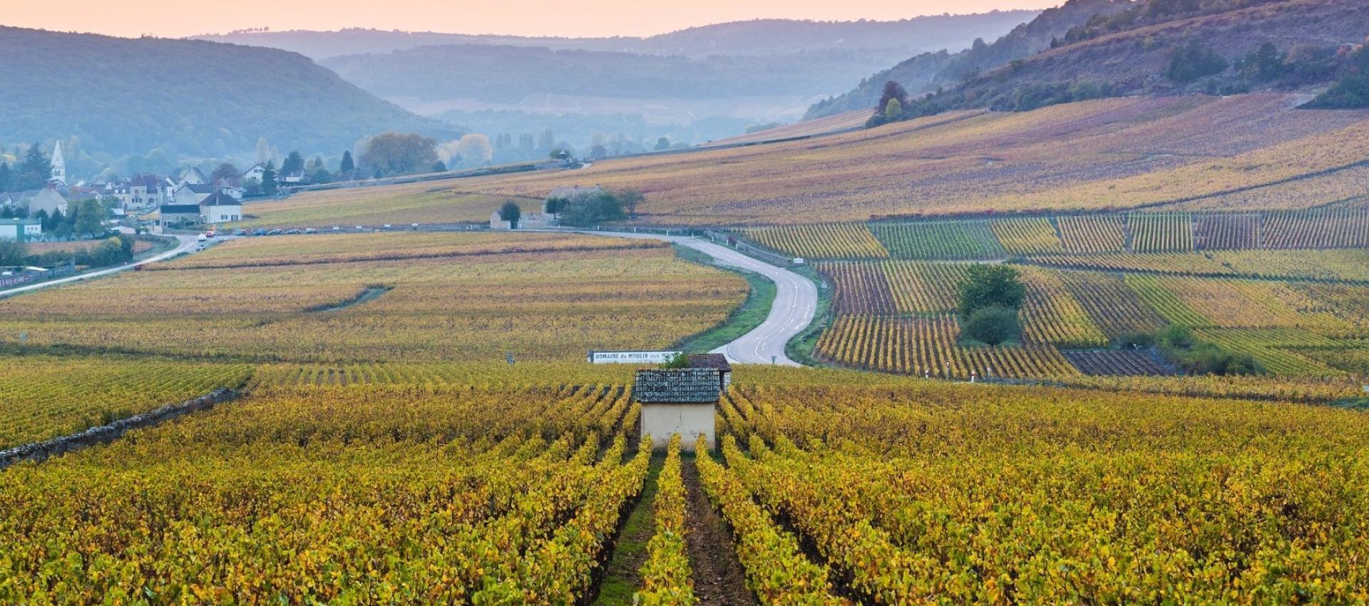 Paysage Bourgogne Franche-Comté