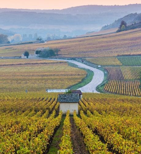Paysage Bourgogne Franche-Comté