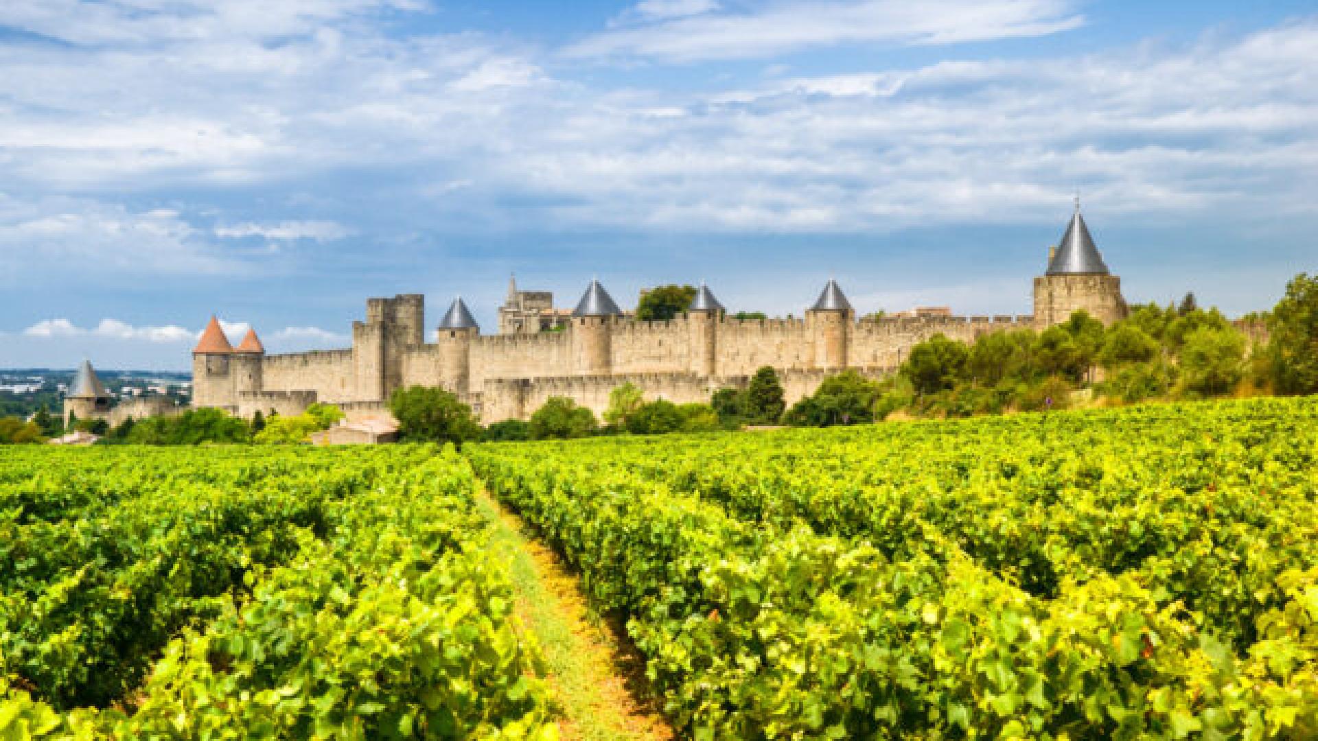 Paysage landscape nature avec château et champs Occitanie Carcassonne