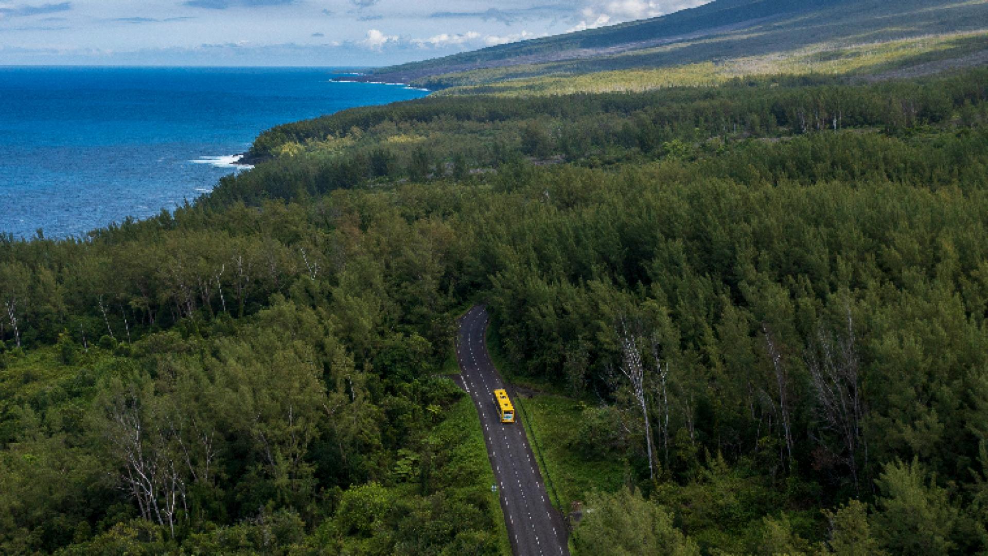 Paysage Transdev Outre-Mer