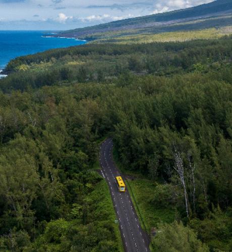 Paysage Transdev Outre-Mer