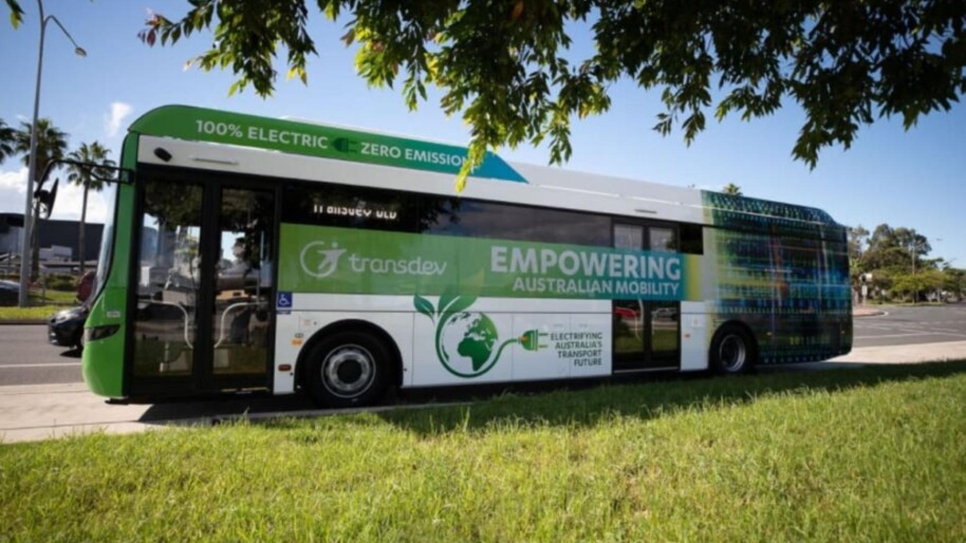 tdq-ebus-side-profile-leafy-1024x706-1-1-1-e1667904461710