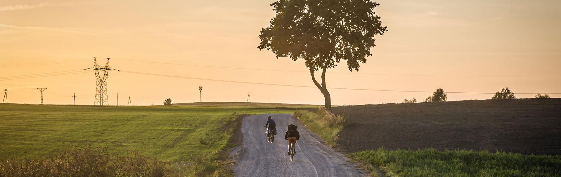 themobilitysphere_52