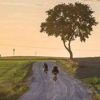 themobilitysphere_52