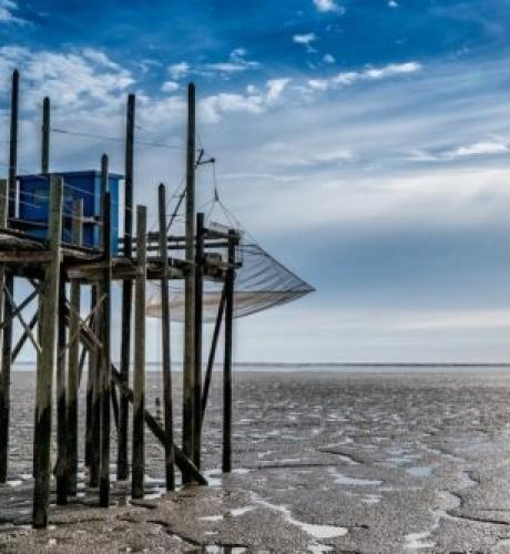 Paysage Nouvelle-Aquitaine