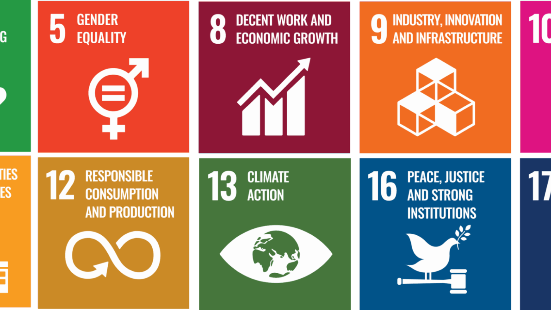 our-contribution-to-the-united-nations-sustainable-development-goals-2022
