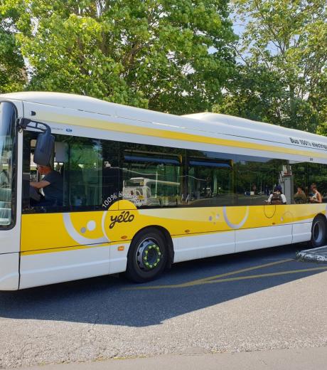 Bus Yélo