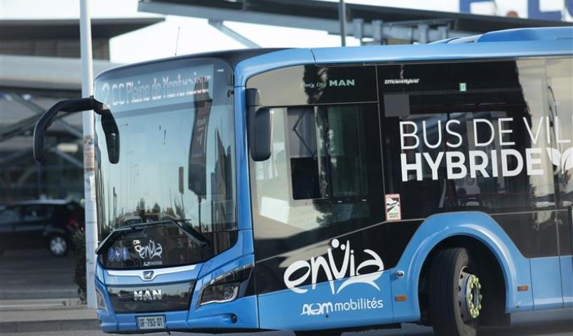 Bus Envia ©Florent Gardin