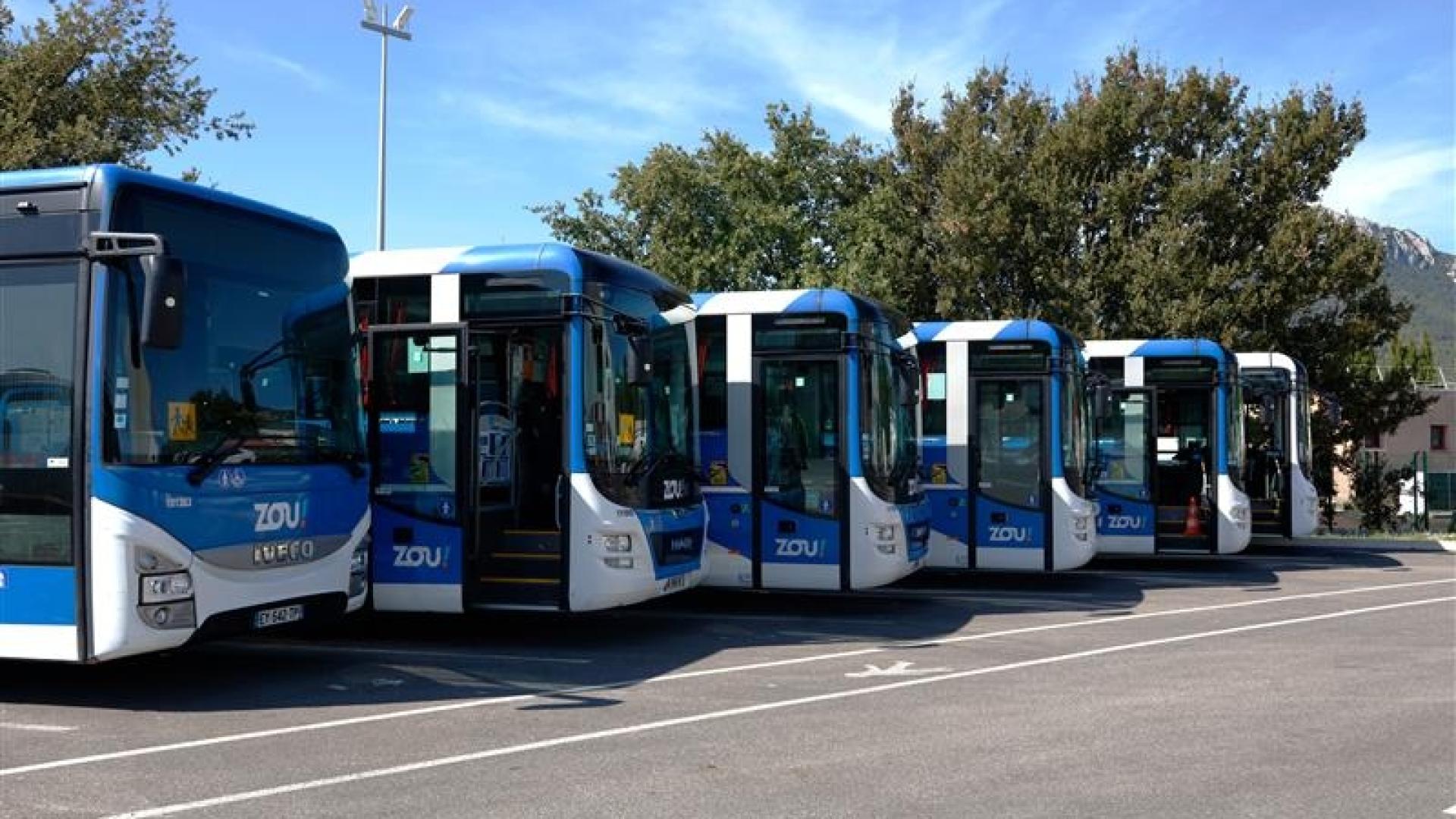 cars-transport-scolaire-zou-1