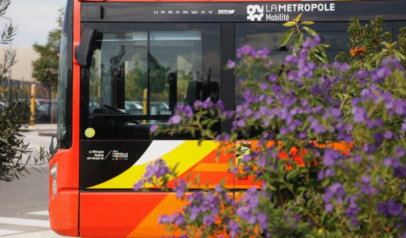bus Salon Etang Côte Bleue