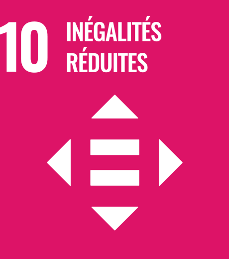 10 inégalités réduites